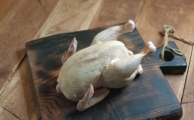 Цыпленок (корнишон) от семейной фермы Чернышевых