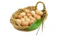 Яйца цесарки от Рифката Хайруллина. 10 шт.