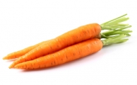 Морковь от Знатного Фермера