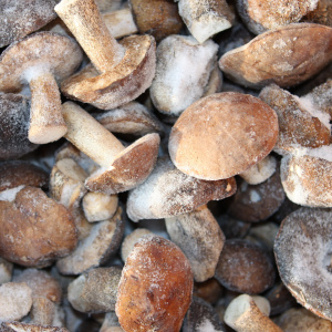 podosinoviki-zamorozhennye