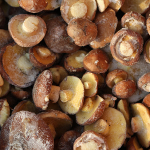 maslyata-zamorozhennye