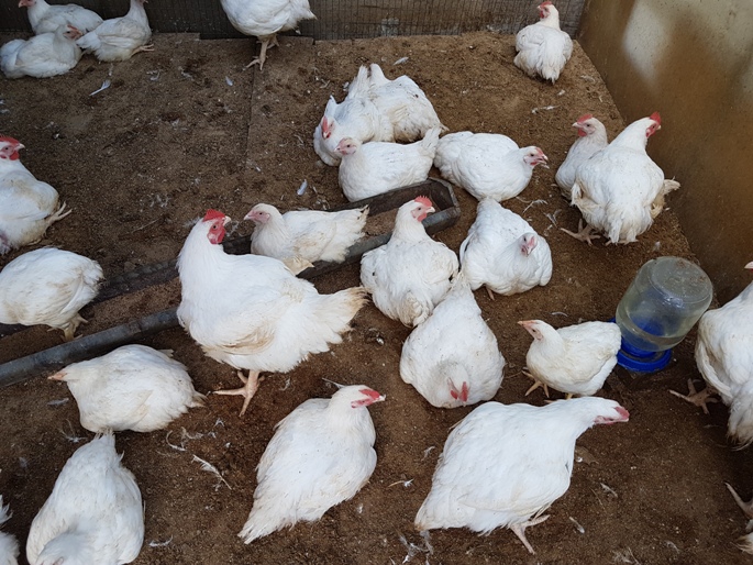 Станислав Караганский1.jpg Станислав Караганский1.jpg