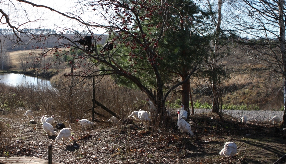 Рифкат Хайруллин1.jpg