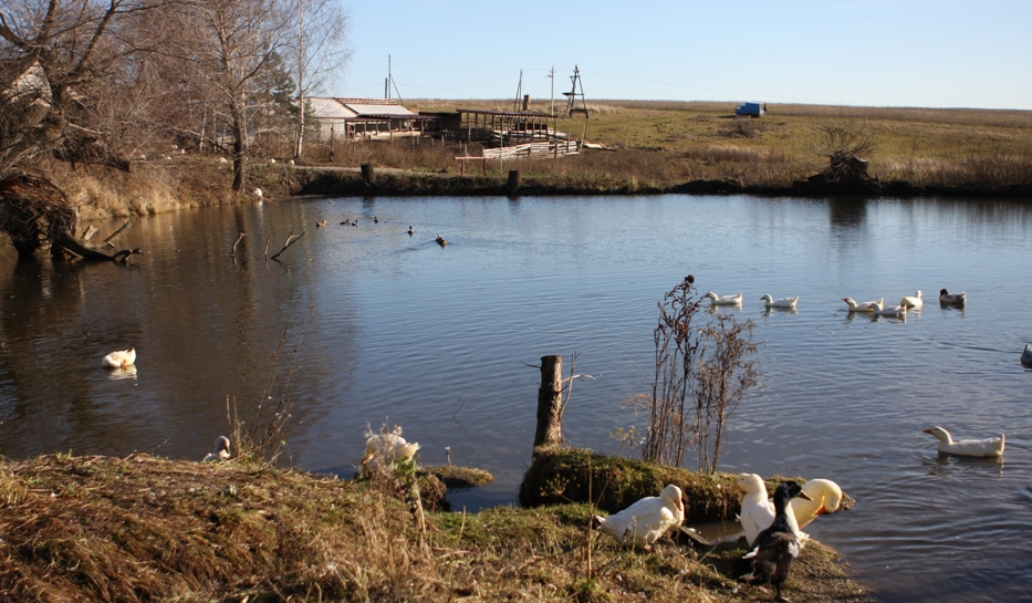 Рифкат Хайруллин2.jpg