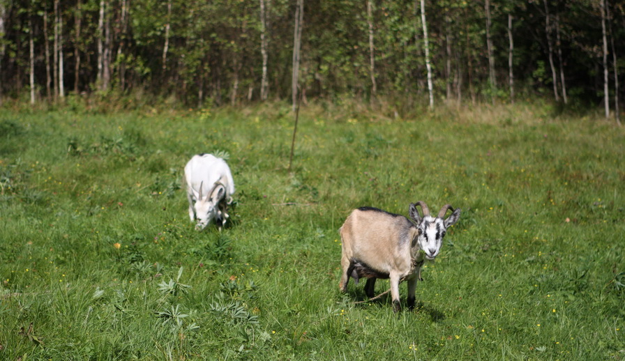 IMG_9230.jpg IMG_9230.jpg